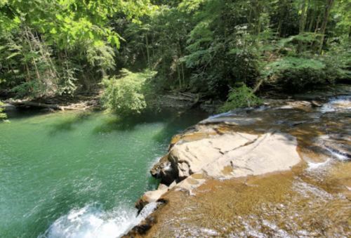 A serene forest scene featuring a clear green river flowing over rocky terrain, surrounded by lush trees.