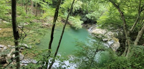 A serene green river surrounded by lush trees and rocky banks, creating a peaceful natural setting.