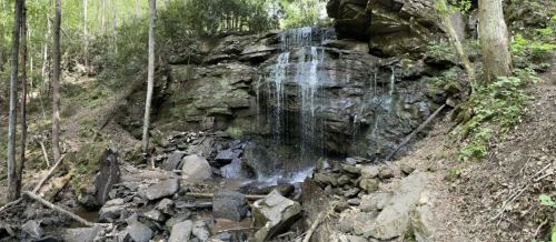 A serene waterfall cascading over rocks, surrounded by lush greenery and trees in a tranquil forest setting.