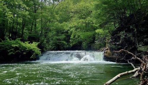 A serene waterfall cascades into a green river, surrounded by lush trees and rocky cliffs.