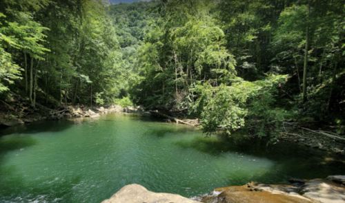 A serene forest scene featuring a calm green river surrounded by lush trees and rocky banks.