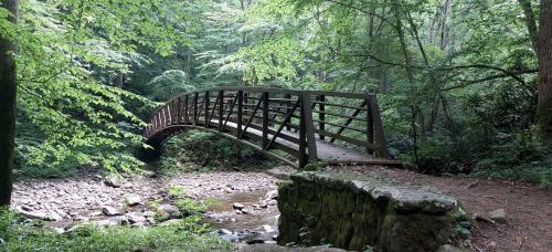 A wooden bridge arches over a rocky stream, surrounded by lush green trees in a serene forest setting.
