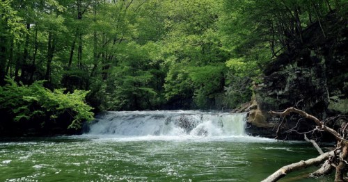 A serene waterfall cascades into a green river, surrounded by lush trees and rocky cliffs.