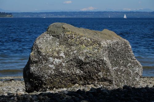 A large, moss-covered rock on a beach with calm blue water and distant mountains in the background.
