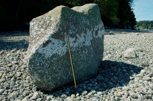 A large, weathered rock on a pebbly beach, with a measuring stick leaning against it for scale.