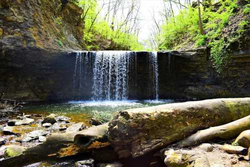 A serene waterfall cascades over rocks into a tranquil pool, surrounded by lush greenery and fallen logs.