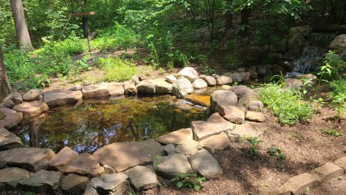 A serene pond surrounded by rocks and lush greenery in a wooded area, with a small waterfall in the background.