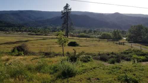 A serene landscape featuring rolling hills, a lone tree, and a lush green meadow under a clear blue sky.