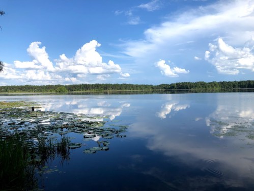 A serene lake reflects fluffy clouds and lush greenery, with lily pads floating on the calm water's surface.