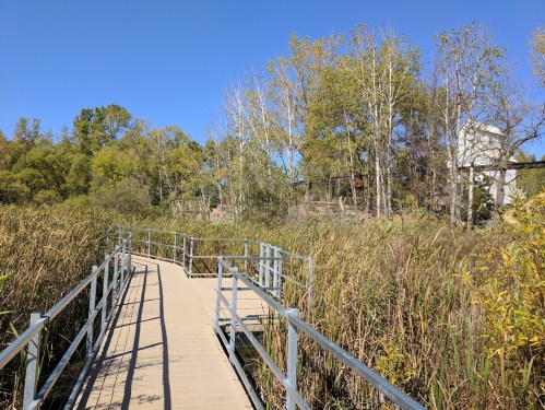 A wooden boardwalk leads through tall grasses and trees under a clear blue sky.