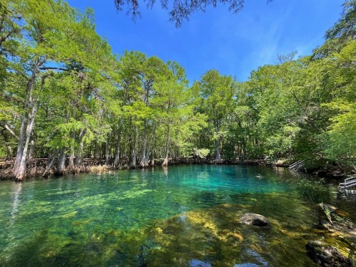 A serene, clear blue spring surrounded by lush green trees under a bright blue sky.