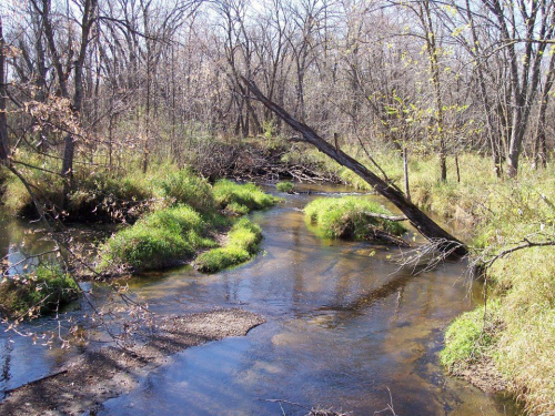 A serene stream flows through a wooded area, surrounded by green grass and bare trees under a clear sky.