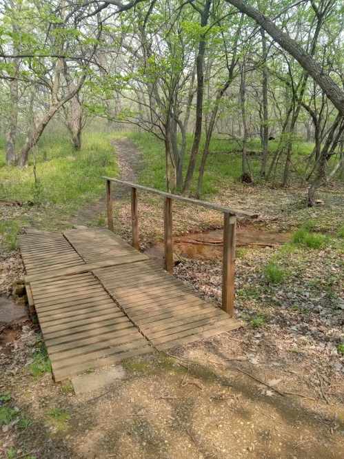 A wooden bridge crosses a small stream in a lush, green forest with trees and a dirt path in the background.