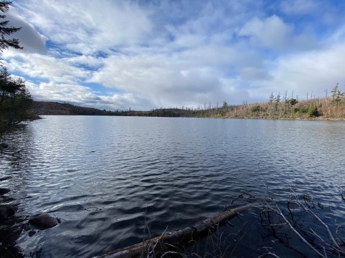 A serene lake surrounded by trees under a partly cloudy sky, with gentle ripples on the water's surface.