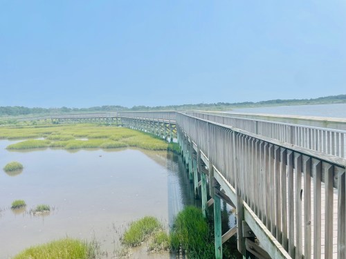 A wooden boardwalk stretches over a marsh, surrounded by green grass and calm water under a clear blue sky.