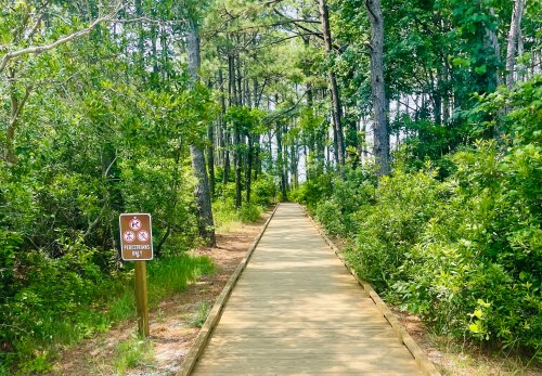A wooden path through a lush green forest, with a sign indicating a protected area.