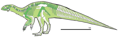 Illustration of a dinosaur skeleton with highlighted bones, showing a side view and a scale bar of 1 meter.