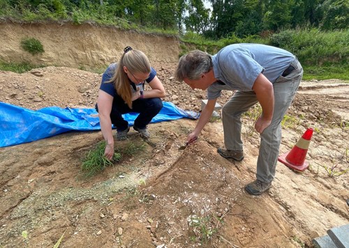 Two people examining soil and plants at a construction site, with a blue tarp and a traffic cone in the background.