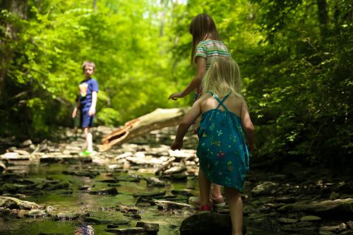 Three children play in a lush, green forest stream, navigating over rocks and enjoying nature.