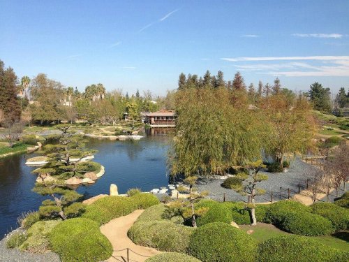 A serene garden landscape featuring a pond, lush greenery, and a wooden structure in the background under a clear blue sky.