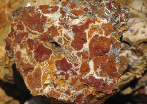 Close-up of a colorful mineral rock with red, orange, and white patterns, showcasing its unique texture and structure.