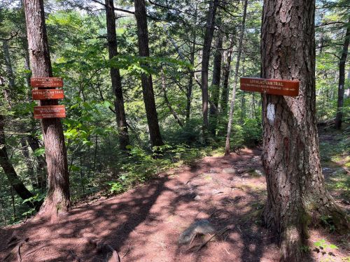 Two wooden trail signs in a forest, indicating directions for different hiking trails amidst lush greenery.