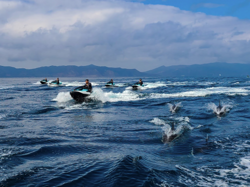 A group of jet skiers rides across a blue ocean, with dolphins leaping in the foreground under a cloudy sky.