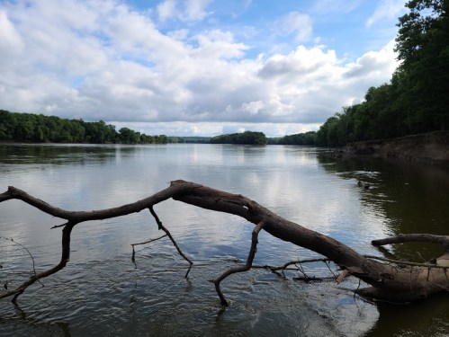 A calm river scene with a fallen tree branch in the foreground and lush greenery along the banks under a cloudy sky.