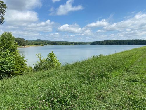 A serene lake surrounded by green grass and trees under a partly cloudy blue sky.