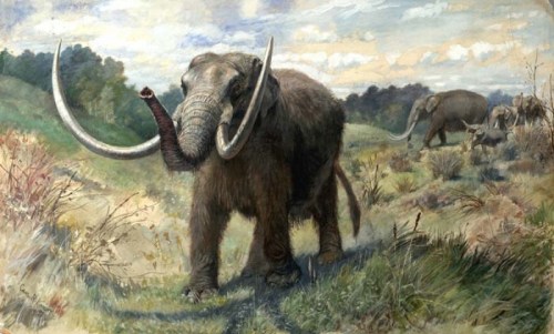A prehistoric scene featuring a woolly mammoth with large tusks, surrounded by a grassy landscape and other elephants.