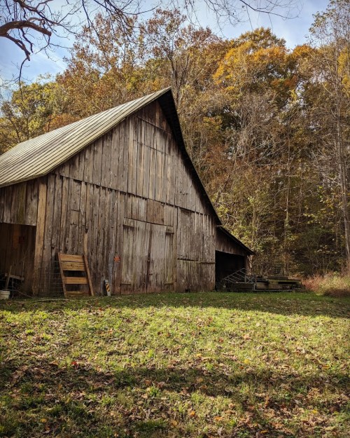 A rustic wooden barn surrounded by trees with autumn foliage and a grassy area in the foreground.
