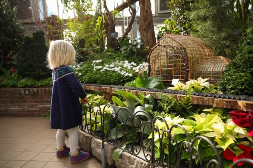 A child with short blonde hair stands in a lush garden, admiring vibrant plants and a decorative greenhouse.