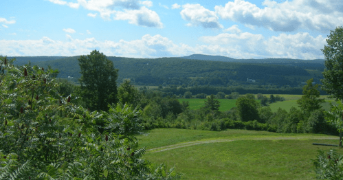 A scenic landscape featuring rolling green hills, trees, and a blue sky with fluffy clouds.