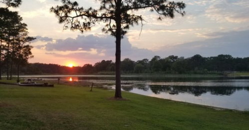 A serene sunset over a lake, with trees lining the shore and a grassy area in the foreground.