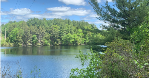 A serene lake surrounded by lush green trees and a clear blue sky with fluffy clouds.
