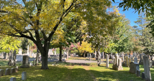 A serene cemetery scene with autumn trees and gravestones under a clear blue sky.