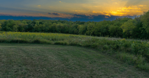A serene landscape at sunset, featuring a grassy field and lush green trees under a colorful sky.