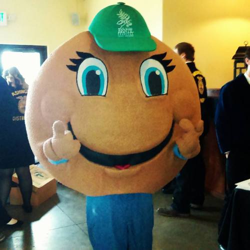 A person in a large cookie costume with a green cap, smiling and giving a thumbs-up gesture.