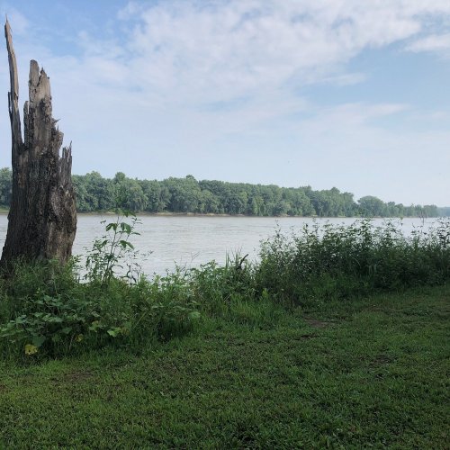 A serene river scene with a weathered tree stump, lush greenery, and a calm waterway under a cloudy sky.