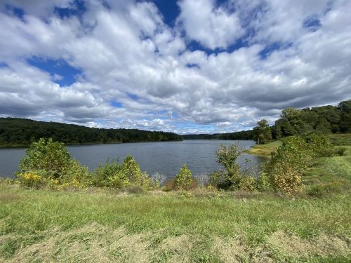 A serene lake surrounded by lush greenery and trees, under a partly cloudy blue sky.