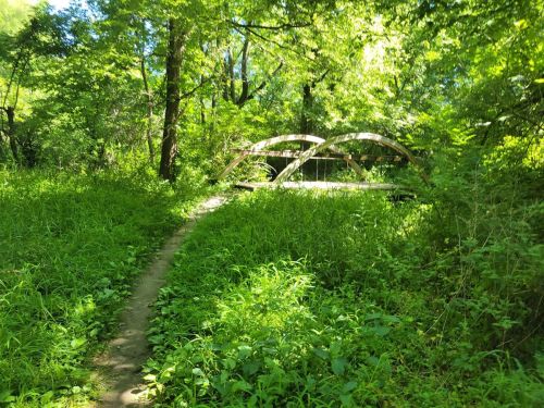 A narrow path through lush greenery leads to a wooden bridge in a sunlit forest.