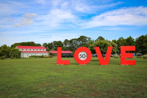Large red letters spelling "LOVE" with a circular "50" in the center, set against a green field and blue sky.