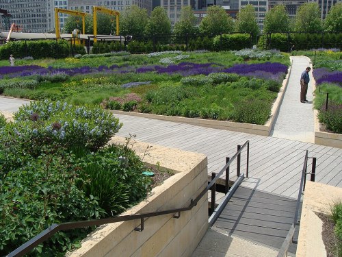 A vibrant garden with purple flowers and lush greenery, featuring pathways and a person walking in the background.