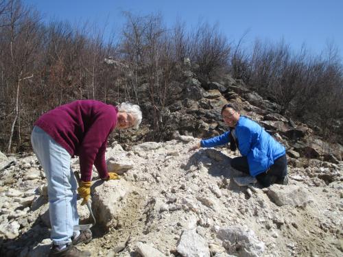 Two people digging in a rocky area, surrounded by sparse vegetation and a clear blue sky.