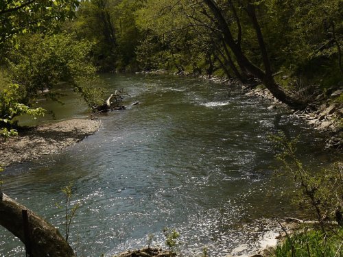 A serene river flows through a lush green landscape, surrounded by trees and rocky banks under a clear sky.
