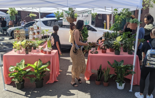 A vibrant market scene with tables of potted plants, a woman in a gold dress, and shoppers browsing under tents.