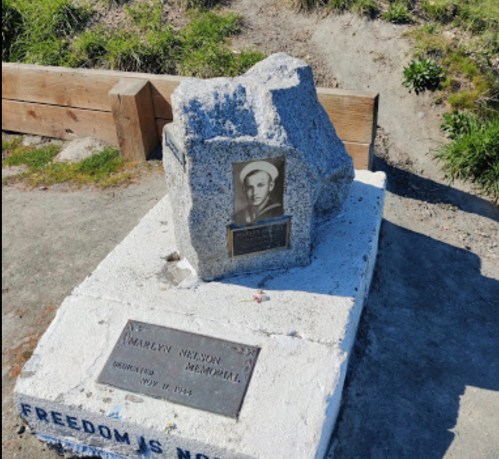 A memorial stone with a photo and plaque, surrounded by greenery, inscribed with "FREEDOM IS NOT FREE."