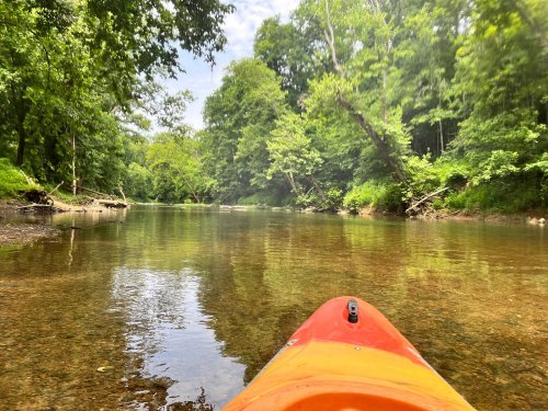 A kayak on a calm river surrounded by lush green trees and clear water, reflecting the serene landscape.