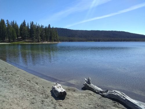 A serene lake surrounded by trees, with a sandy shore and a log resting on the beach under a clear blue sky.