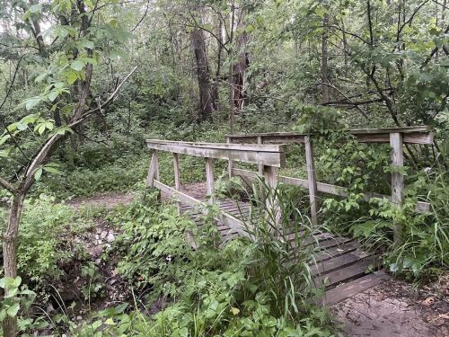A wooden bridge surrounded by lush greenery and trees in a serene, natural setting.